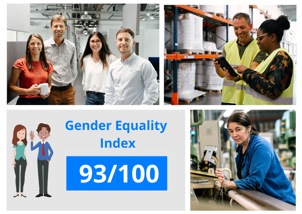Gender Equality Index APLIX 2025